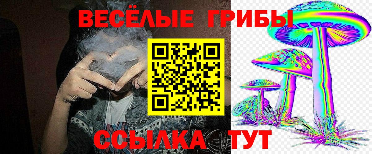 Галлюциногенные грибы мицелий  Вход с VPN  Северск 