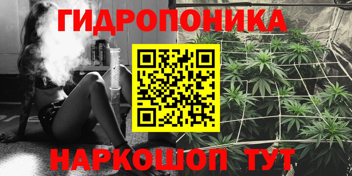 Северск  Конопля LSD WEED  Вход с VPN  Бошки марихуана гибрид  Бошки Шишки Ganja  Бошки Шишки конопля 